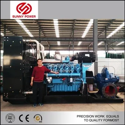 ডিওয়াটারিং মাইনিং পাম্প